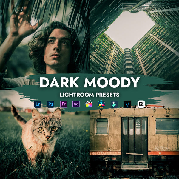 DARK MOODY